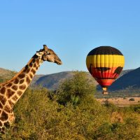 Hot-Air-Balloon-Ride-In-Africa